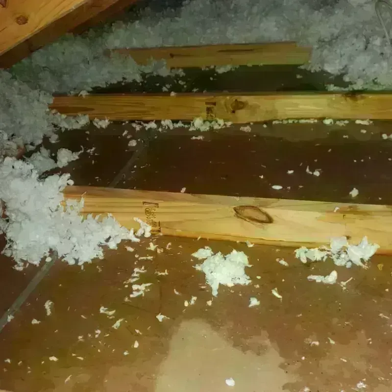 Attic Water Damage in Wanatah, IN